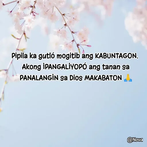 Quote by Nova Degulacion Dondoyano - Pipila ka gutló mogitib ang KABUNTAGON. 
Akong IPANGALIYOPÓ ang tanan sa PANALANGIN sa Dios MAKABATON 🙏 - Made using Quotes Creator App, Post Maker App