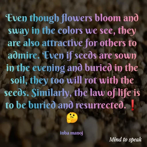 Quote by M.INBA😎☺️❤️ - Even though flowers bloom and sway in the colors we see, they are also attractive for others to admire. Even if seeds are sown in the evening and buried in the soil, they too will rot with the seeds. Similarly, the law of life is to be buried and resurrected.❗
🤔

inba manoj  - Made using Quotes Creator App, Post Maker App