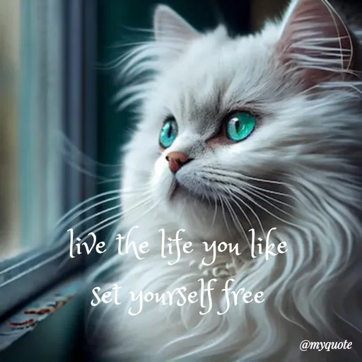 Quote by broken hearted queen - live the life you like
set yourself free - Made using Quotes Creator App, Post Maker App