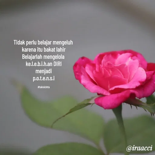 Quote by iraacci - Tidak perlu belajar mengeluh 
karena itu bakat lahir
Belajarlah mengelola 
ke.l.e.b.i.h.an DIRI
menjadi
p.o.t.e.n.s.i

#taksicinta - Made using Quotes Creator App, Post Maker App