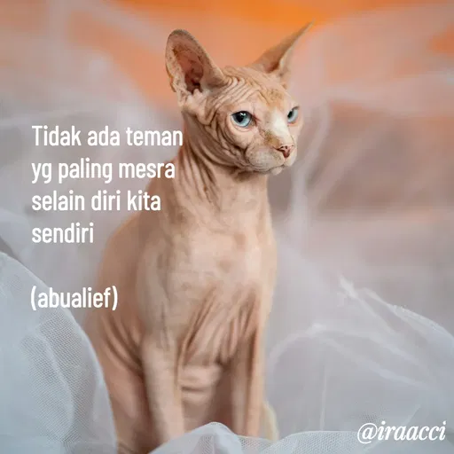 Quote by iraacci -  - Made using Quotes Creator App, Post Maker App