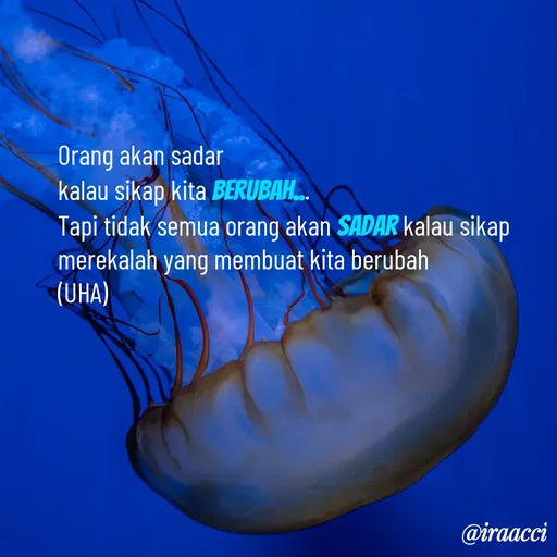 Quote by iraacci -  - Made using Quotes Creator App, Post Maker App