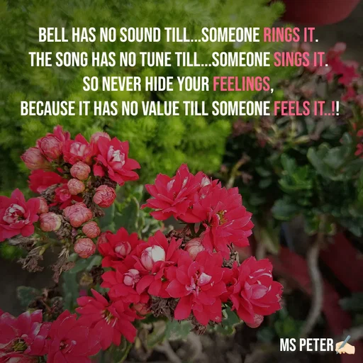 Quote by Sanjana Peter - Bell has no sound till...someone rings it. 
The song has no tune till...someone sings it. 
So never hide your feelings, 
because it has no value till someone feels it..!! - Made using Quotes Creator App, Post Maker App