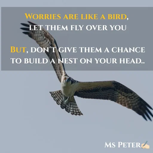 Quote by Sanjana Peter - Worries are like a bird, 
let them fly over you

But, don't give them a chance to build a nest on your head.. - Made using Quotes Creator App, Post Maker App