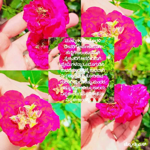 Quote by ಕನಸು❤️ - ಮುಳ್ಳುಗಳ ಜೊತೆ ಅರಳಿ
 ದೇವರಿಗೆ ಅರ್ಪಣೆಯಾಗಿ 
ಹೆಣ್ಣಿಗೆ ಅಲಂಕಾರವಾಗಿ
ಸ್ನೇಹಿತರಿಗೆ ಆಸರೇಯಾಗಿ
ಪ್ರೇಮಿಗಳನ್ನಾ ಒಂದೂಗುಡಿಸಿ
ಶುಭಸಮಾರಂಭಕ್ಕೆ ಶುಭವಾಗಿ
ನಿನ್ನ ಅಂದವನ್ನು ತೋರಿಸುವ 
ಗುಲಾಬಿಯೇ ನಿನೆಷ್ಟು ಸುಂದರ
ಎಷ್ಟೂ ಹೋಗಳಿದ್ರೂ ಸಾಲದು
 ನಿನ್ನ ಈ ಅಂದವನ್ನ ಸೋತೆ ನಾ 
ನಿನ್ನ ಈ ಅಂದಕ್ಕೆ🌹🌹


 - Made using Quotes Creator App, Post Maker App