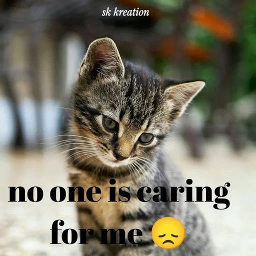 Quote by Keerthi - no one is caring for me 😞 - Made using Quotes Creator App, Post Maker App