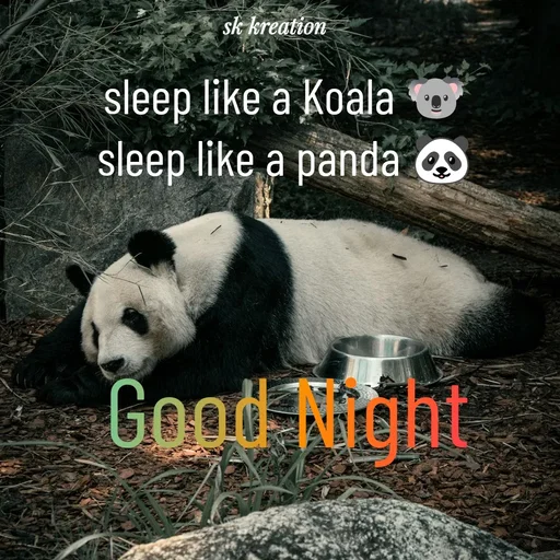 Quote by Keerthi - sleep like a Koala 🐨 
sleep like a panda 🐼 
Good Night  - Made using Quotes Creator App, Post Maker App