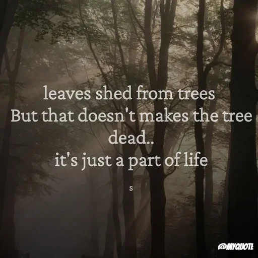 Quote by secret seeder - leaves shed from trees 
But that doesn't makes the tree dead..
it's just a part of life

s - Made using Quotes Creator App, Post Maker App