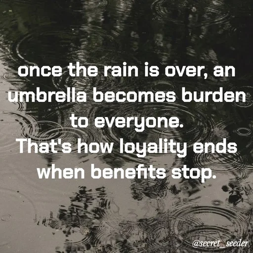 Quote by secret seeder - once the rain is over, an umbrella becomes burden to everyone.
That's how loyality ends when benefits stop. - Made using Quotes Creator App, Post Maker App