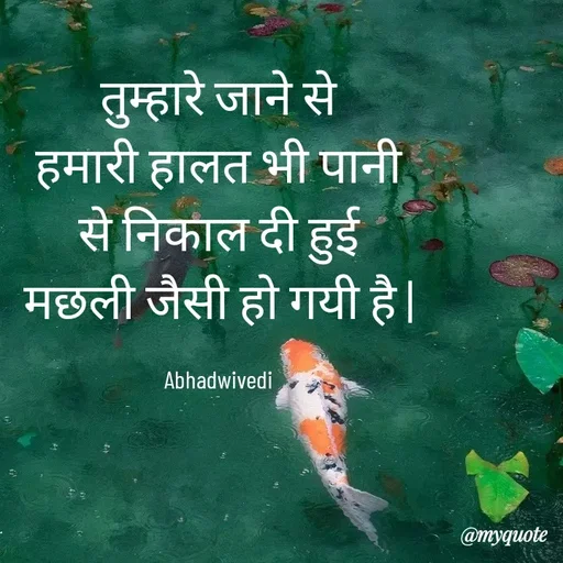Quote by Abha Dwivedi - तुम्हारे जाने से
हमारी हालत भी पानी से निकाल दी हुई                          मछली जैसी हो गयी है |

Abhadwivedi - Made using Quotes Creator App, Post Maker App