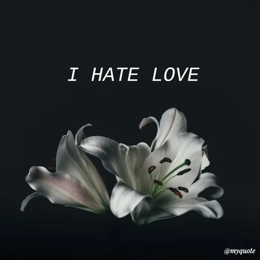 Quote by :) - I HATE LOVE - Made using Quotes Creator App, Post Maker App