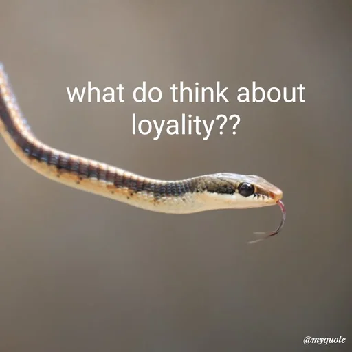 Quote by :) - what do think about loyality?? - Made using Quotes Creator App, Post Maker App