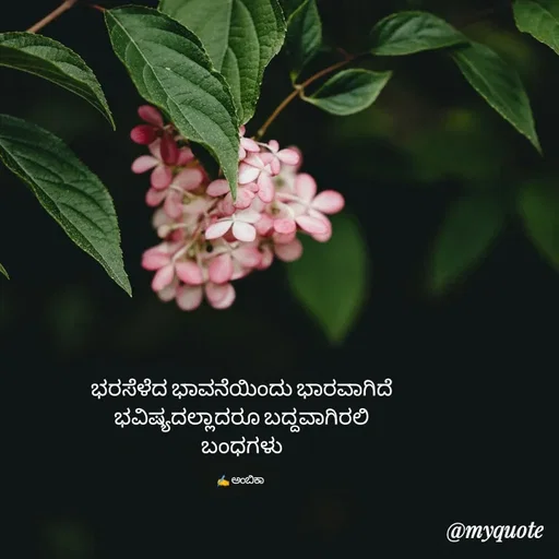 Quote by Ambika nayak -  - Made using Quotes Creator App, Post Maker App