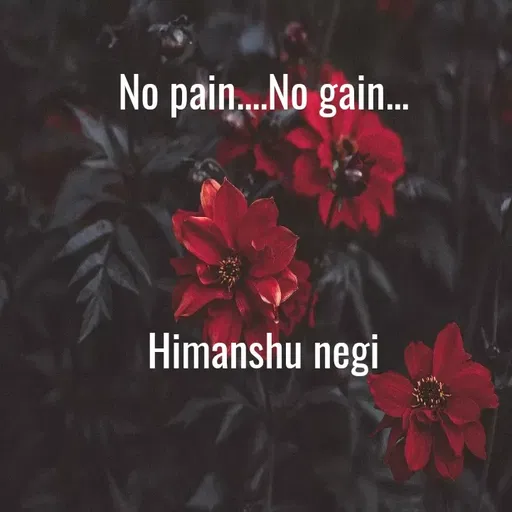 Quote by Himanshu Negi 9thC -  - Made using Quotes Creator App, Post Maker App