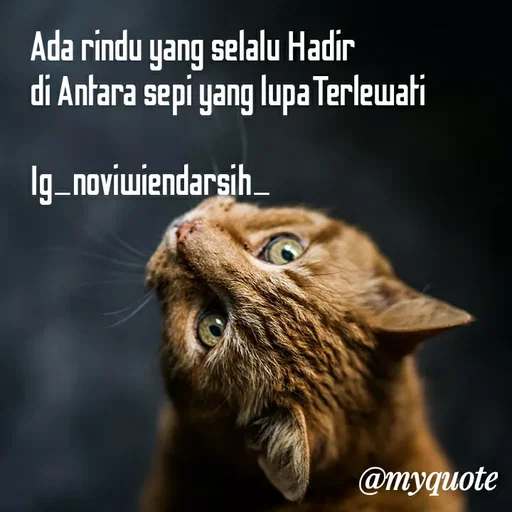 Quote by Novi Wiendarsih - Ada rindu yang selalu Hadir 
di Antara sepi yang lupaTerlewati

Ig_noviwiendarsih_ - Made using Quotes Creator App, Post Maker App