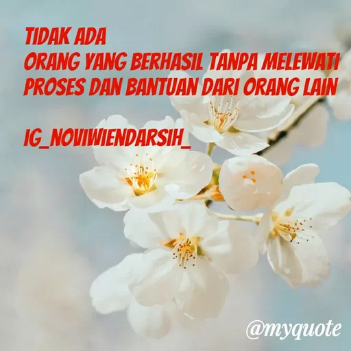 Quote by Novi Wiendarsih - Tidak ada 
orang yang berhasil tanpa melewati proses dan bantuan dari orang Lain

ig_noviwiendarsih_ - Made using Quotes Creator App, Post Maker App