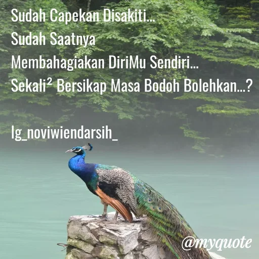 Quote by Novi Wiendarsih - Sudah Capekan Disakiti...
Sudah Saatnya 
Membahagiakan DiriMu Sendiri...
Sekali² Bersikap Masa Bodoh Bolehkan...?

Ig_noviwiendarsih_ - Made using Quotes Creator App, Post Maker App