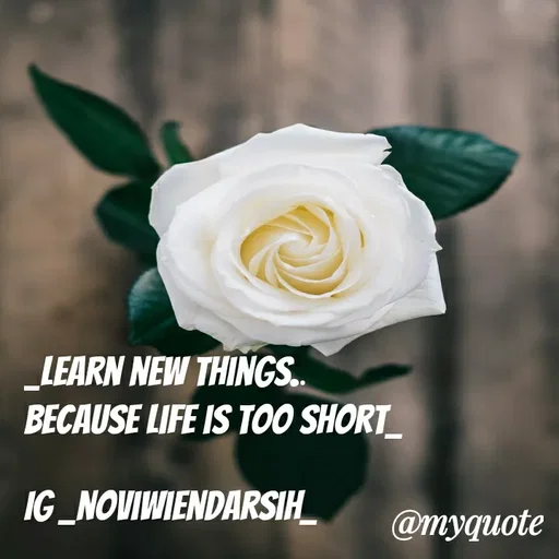 Quote by Novi Wiendarsih - _Learn new things.. 
because life is too short_

Ig _noviwiendarsih_ - Made using Quotes Creator App, Post Maker App