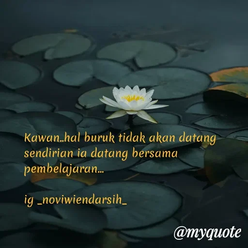 Quote by Novi Wiendarsih - Kawan..hal buruk tidak akan datang sendirian ia datang bersama pembelajaran...

ig _noviwiendarsih_ - Made using Quotes Creator App, Post Maker App