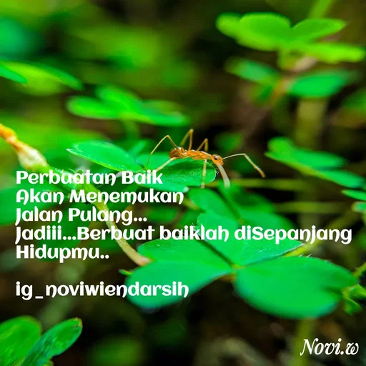 Quote by Novi Wiendarsih - Perbuatan Baik 
Akan Menemukan 
Jalan Pulang...
Jadiii...Berbuat baiklah diSepanjang Hidupmu..

ig_noviwiendarsih - Made using Quotes Creator App, Post Maker App