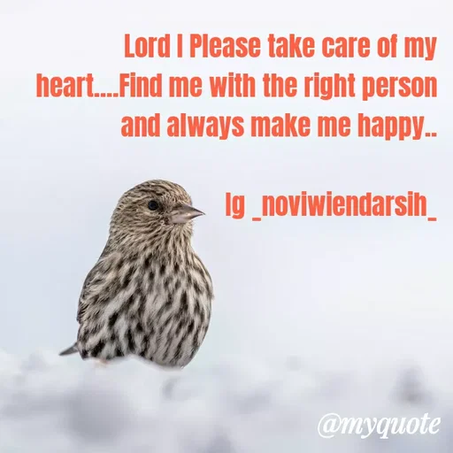Quote by Novi Wiendarsih - Lord I Please take care of my heart....Find me with the right person and always make me happy..

Ig _noviwiendarsih_ - Made using Quotes Creator App, Post Maker App