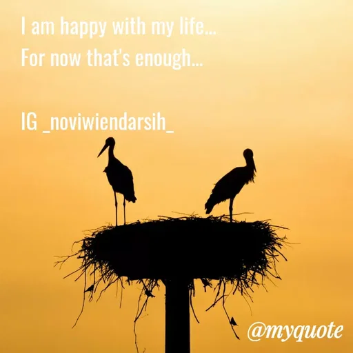 Quote by Novi Wiendarsih - I am happy with my life... 
For now that's enough...

IG _noviwiendarsih_
 - Made using Quotes Creator App, Post Maker App