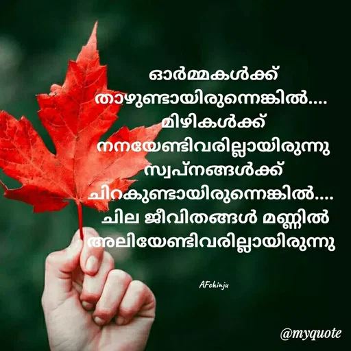 Quote by Farhana.M M - eroeilewmslnulela
AFehinju
@myquote
 - Made using Quotes Creator App, Post Maker App