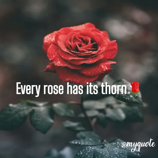 Quote by Karam Mahal - Every rose has its thorn🌹 - Made using Quotes Creator App, Post Maker App