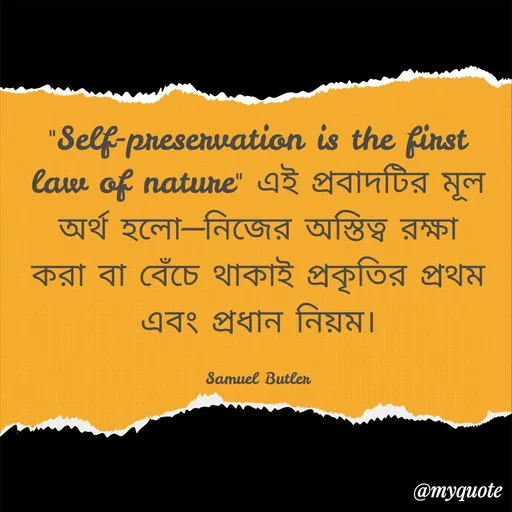 Quote by Sanzida Meem -  - Made using Quotes Creator App, Post Maker App
