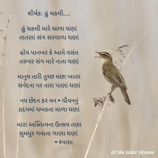 Quote by Dr.Usha Jadav - શીર્ષક: હું ચકલી....

હું ચકલી મારે ચાળા ઘણાં
તાતણાં સંગ સરવાળા ઘણાં

હોય પાનખર કે આવે વસંત
તરુવર સંગ મારે નાતા ઘણાં

માનુષ તારી તુચ્છ મંછા ખાતર
સંવેદના પર તારા પાણાં ઘણાં

નવ છેદન કર વન - યૌવનનું
હૃદયમાં ધબકતા માળા ઘણાં

મારા અસ્તિત્વના ઉત્સવ તણા
સુમધુર ગવાતા ગાણા ઘણાં 
                    - શ્યામા - Made using Quotes Creator App, Post Maker App