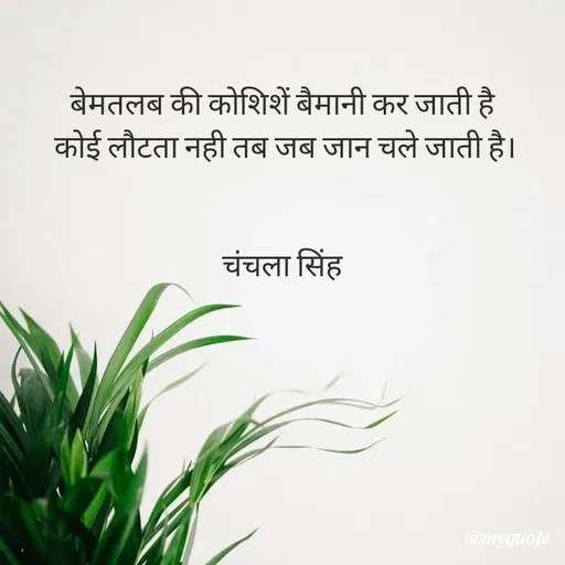 Quote by chanchala singh -  - Made using Quotes Creator App, Post Maker App
