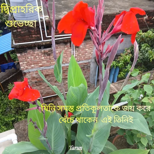 Quote by Tarun Pal -  - Made using Quotes Creator App, Post Maker App