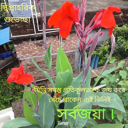 Quote by Tarun Pal -  - Made using Quotes Creator App, Post Maker App