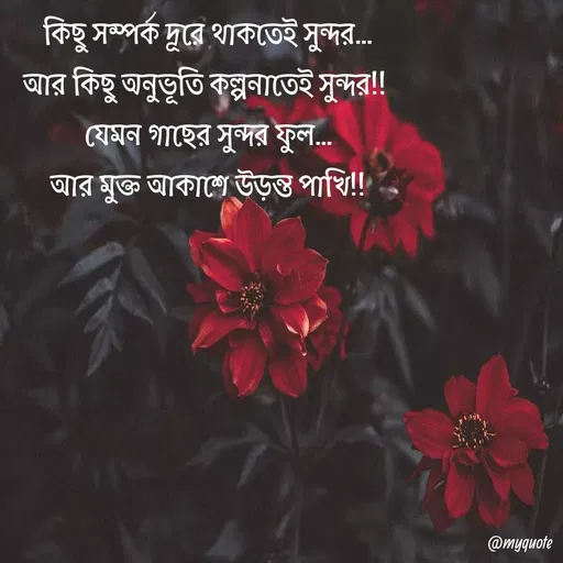 Quote by Fariya Jahan - কিছু সম্পর্ক দূরে থাকতেই সুন্দর...
আর কিছু অনুভূতি কল্পনাতেই সুন্দর!! 
যেমন গাছের সুন্দর ফুল...
আর মুক্ত আকাশে উড়ন্ত পাখি!! - Made using Quotes Creator App, Post Maker App