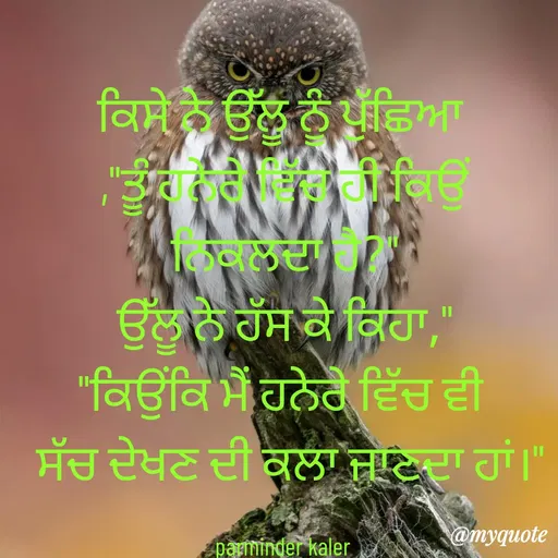 Quote by Parminder Kaler - ਕਿਸੇ ਨੇ ਉੱਲੂ ਨੂੰ ਪੁੱਛਿਆ 
,"ਤੂੰ ਹਨੇਰੇ ਵਿੱਚ ਹੀ ਕਿਉਂ ਨਿਕਲਦਾ ਹੈ?"
ਉੱਲੂ ਨੇ ਹੱਸ ਕੇ ਕਿਹਾ,"
"ਕਿਉਂਕਿ ਮੈਂ ਹਨੇਰੇ ਵਿੱਚ ਵੀ 
 ਸੱਚ ਦੇਖਣ ਦੀ ਕਲਾ ਜਾਣਦਾ ਹਾਂ।"

parminder kaler  - Made using Quotes Creator App, Post Maker App