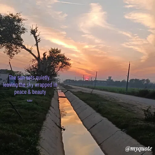 Quote by Parminder Kaler - The sun sets quietly, 
leaving the sky wrapped in
 peace & beauty 

kaler  - Made using Quotes Creator App, Post Maker App