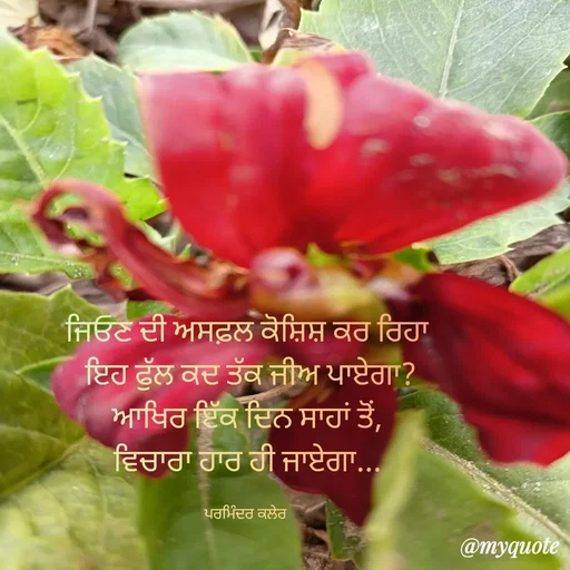 Quote by Parminder Kaler -  - Made using Quotes Creator App, Post Maker App