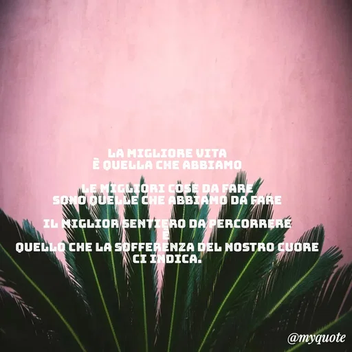 Quote by Baba Piciu' -  - Made using Quotes Creator App, Post Maker App