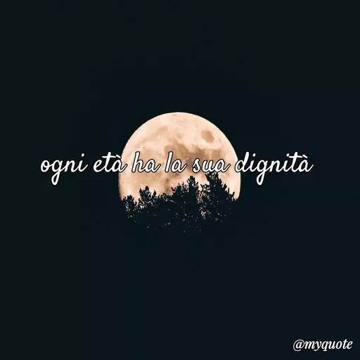 Quote by Baba Piciu' -  - Made using Quotes Creator App, Post Maker App