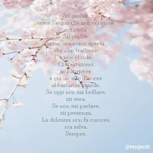 Quote by Baba Piciu' -  - Made using Quotes Creator App, Post Maker App