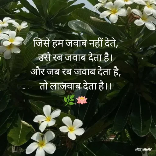 Quote by Khairun Nisha - जिसे हम जवाब नहीं देते,
उसे रब जवाब देता है।
और जब रब जवाब देता है,
तो लाजवाब देता है।।
🌿🪷 - Made using Quotes Creator App, Post Maker App