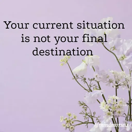 Quote by mindmorsels - Your current situation is not your final destination 
 - Made using Quotes Creator App, Post Maker App