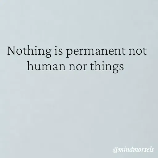 Quote by mindmorsels - Nothing is permanent not human nor things  - Made using Quotes Creator App, Post Maker App