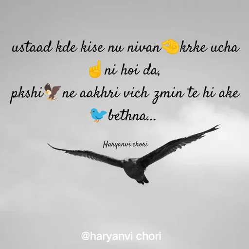 Quote by 🥰 Haryanvi chori 🥰 - ...  - Made using Quotes Creator App, Post Maker App